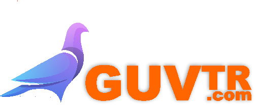 GuvTR Logo